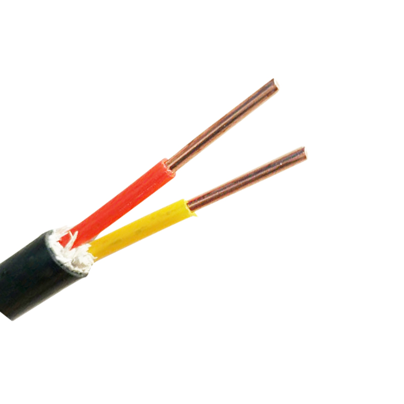 特变电工（TBEA）电力电缆ZC-YJV2*6
